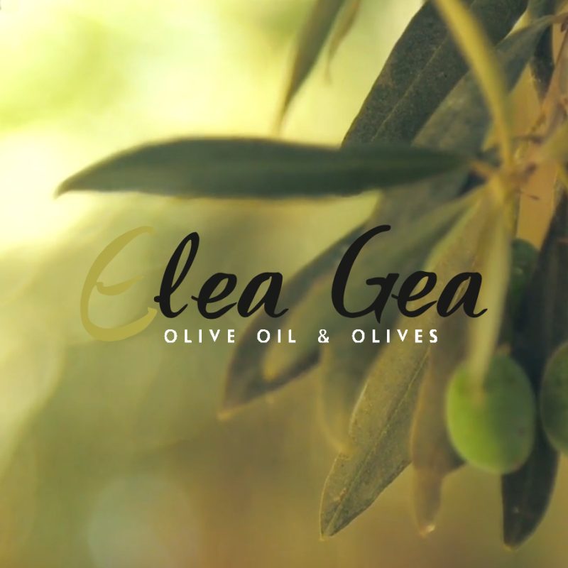 Elea Gea S.A.
